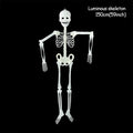 Glow-in-the-Dark Climbing Skeleton